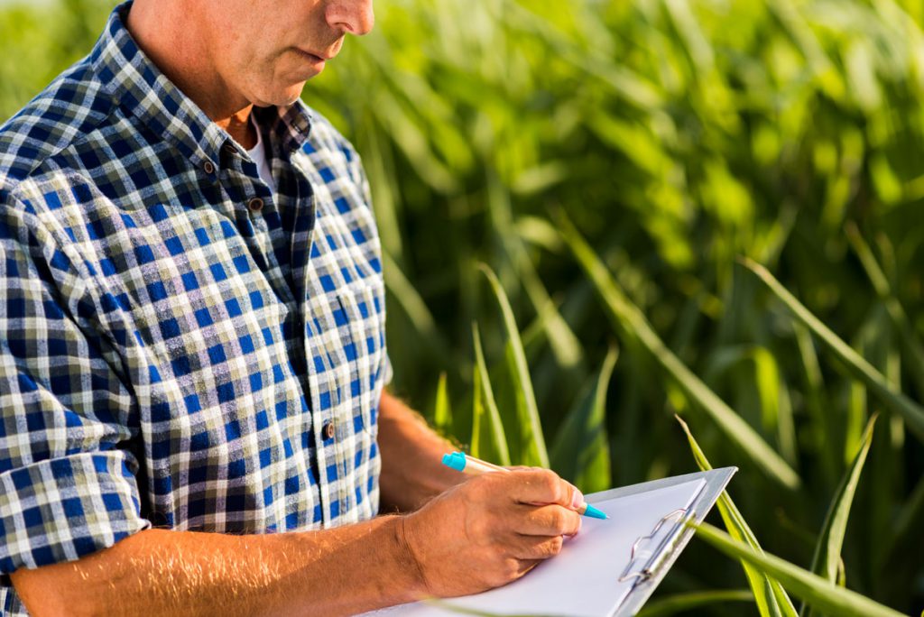 Ingeniero Agrónomo trabajando en el campo